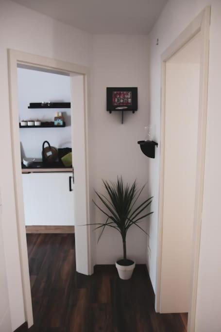 Schoene Wohnung Top Lage Koeln Work & Relax & Travel Frechen Eksteriør billede